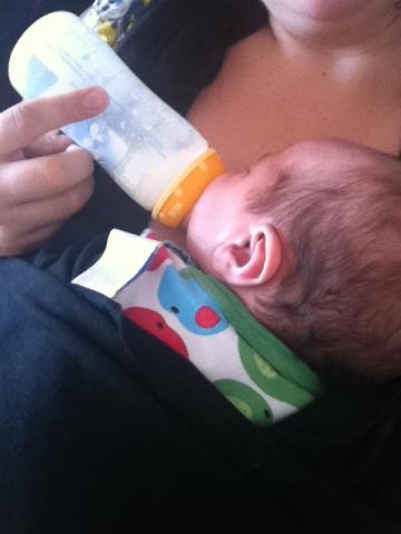 Baby Getting Fed Organic Food Baby Getting Fed Organic Food