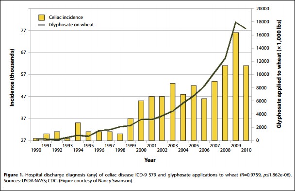 celiac
                                                          incidence as a
                                                          factor of
                                                          glyphosate
                                                          application to
                                                          wheat