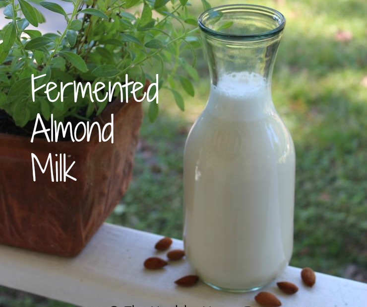 Homemade Fermented Almond Milk The Healthy Home Economist