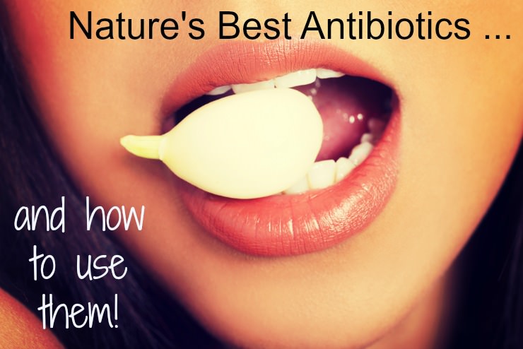 best natural antibiotics