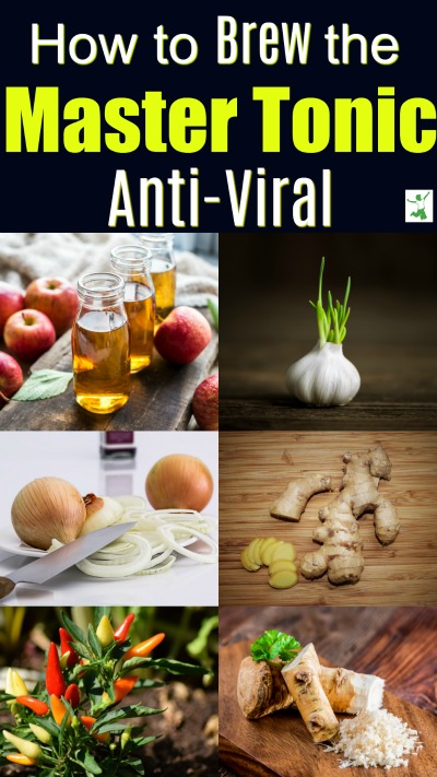 master tonic best natural antiviral ingredients