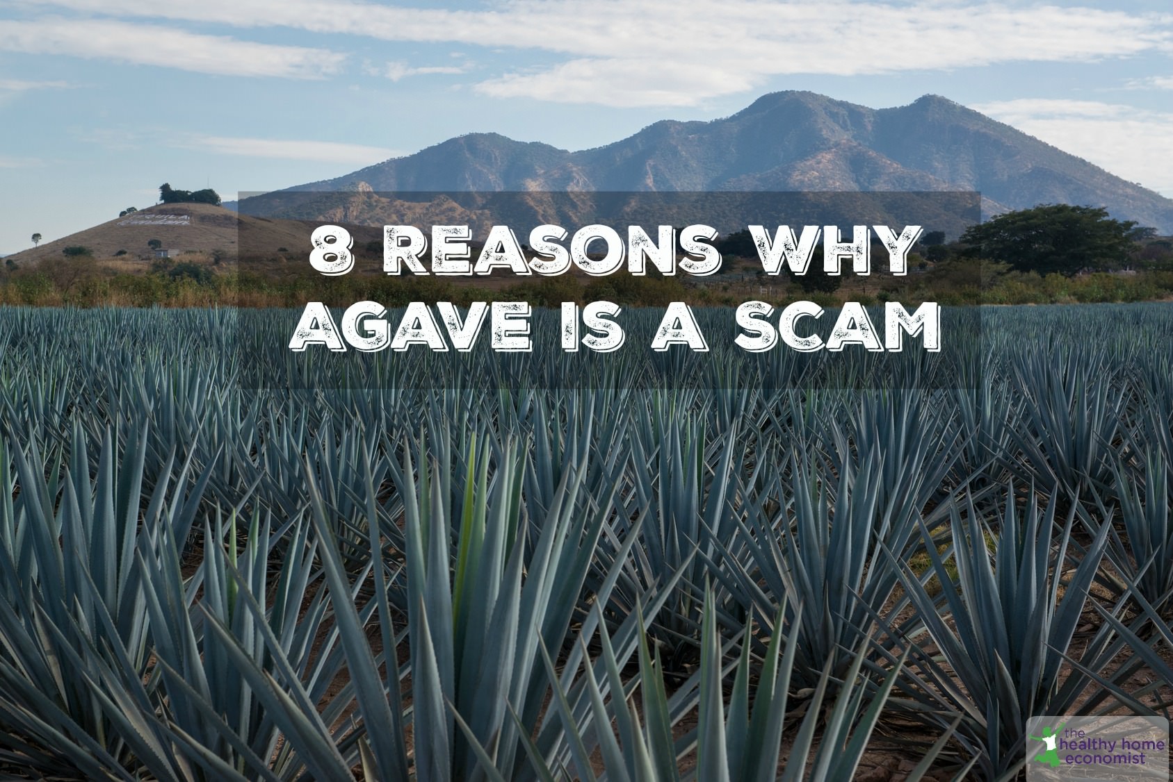 8 Reasons to Never Eat Agave The Healthy Home Economist