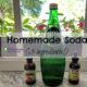 homemade soda