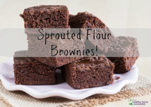 sprouted flour brownies