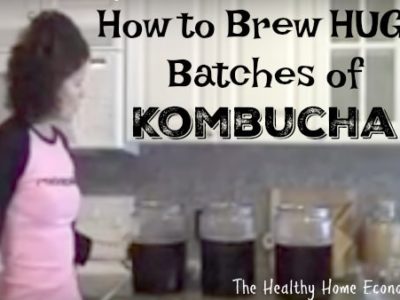 Large Batch Advanced Kombucha Recipe (+ VIDEOS)