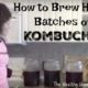 Large Batch Advanced Kombucha Recipe (+ VIDEOS)