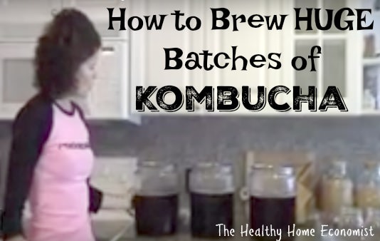 advanced kombucha recipe