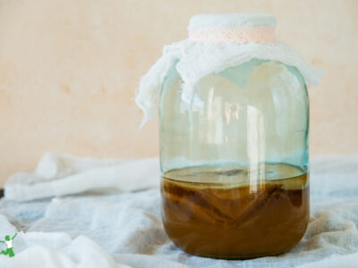 big batch kombucha container