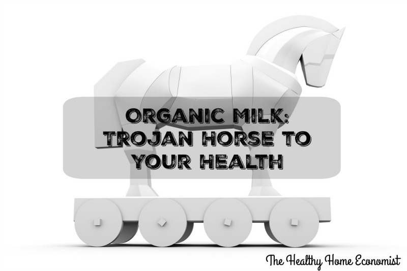 white trojan horse on wheels