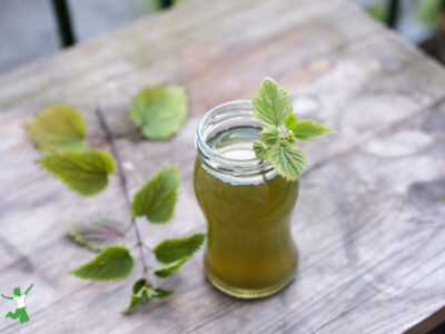 best herb for fertility in glass on wood table