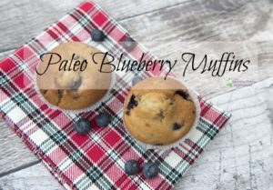 paleo blueberry muffins