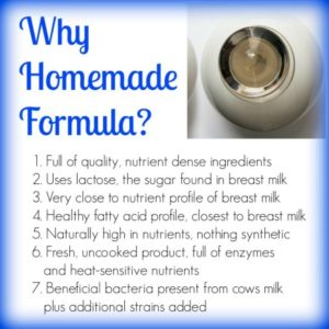 Homemade Baby Formula Recipe (+ Video) - Healthy Home Economist