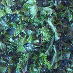 baked kale chips