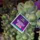 raw brussels sprouts at farmers market