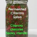 Perfectly Fermented Homemade Cilantro Salsa 2