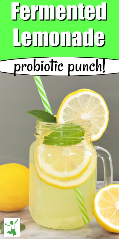 probiotic hindu lemonade