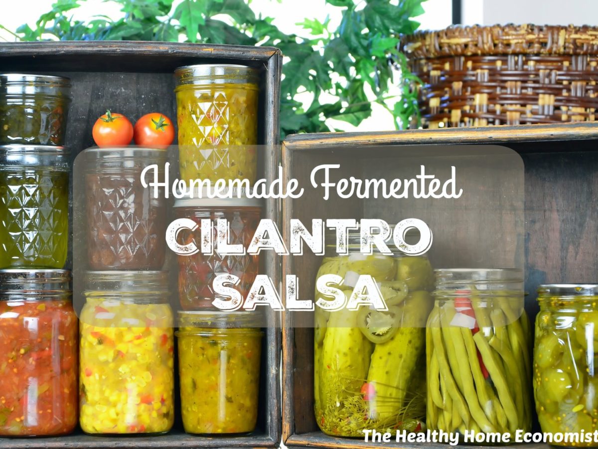 Perfectly Fermented Homemade Cilantro Salsa Healthy Home Economist