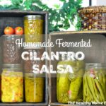 Perfectly Fermented Homemade Cilantro Salsa 1