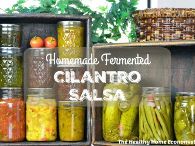 Perfectly Fermented Homemade Cilantro Salsa 1