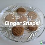 Grain Free Ginger Snaps Recipe