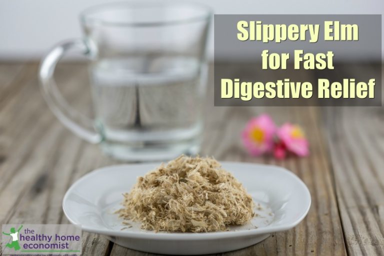 Benefits of Slippery Elm for Digestive Relief Healthy Home Economist