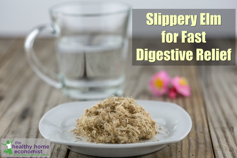 slippery elm herb on a plate with glass of water