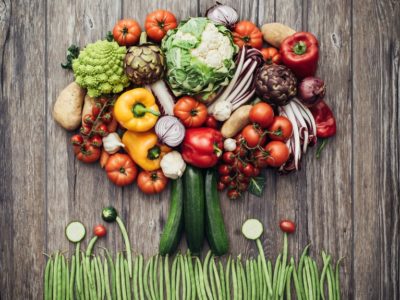 Why Plant Based Diets Cannot Maintain Health