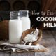 Easy RAW Homemade Coconut Milk Recipe (+ VIDEO)