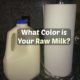 beige raw milk from grassfed cows