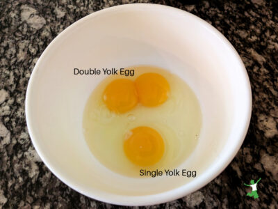 double yolk egg compared to single yolk egg in white bowl