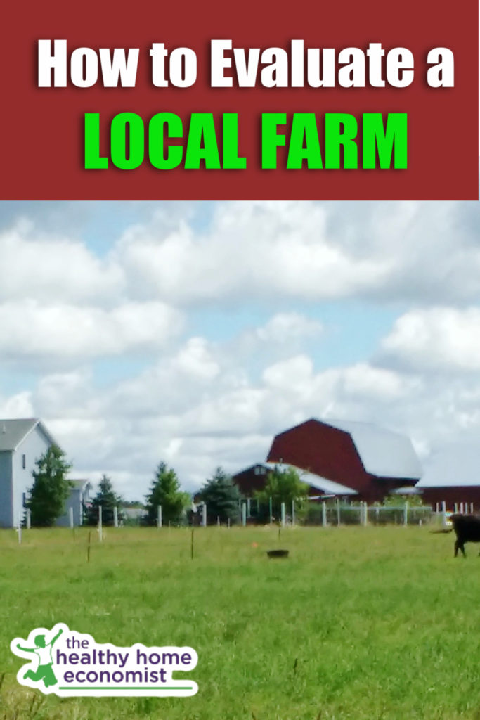 lush pasture of a grassfed local farm