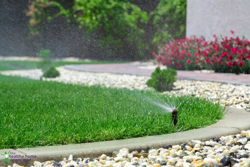 green lawn being watered with a sprinkler