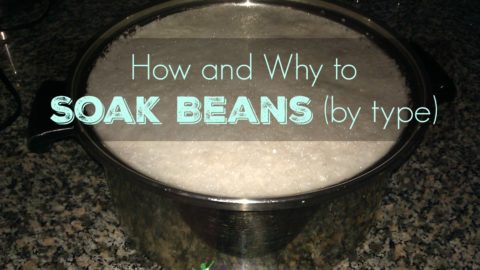 How to Soak Beans Before Cooking (and why you would want to)