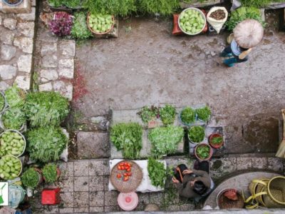 Jail For Planting a Vegetable Garden?