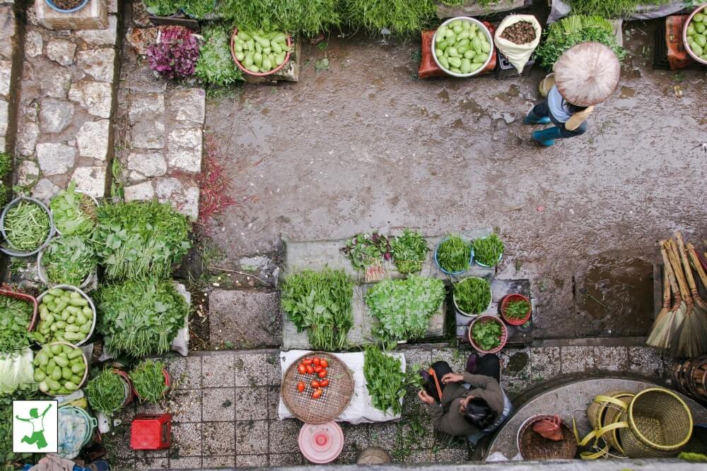 front yard garden