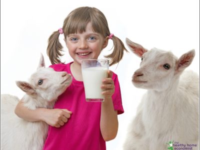 goat versus cow milk