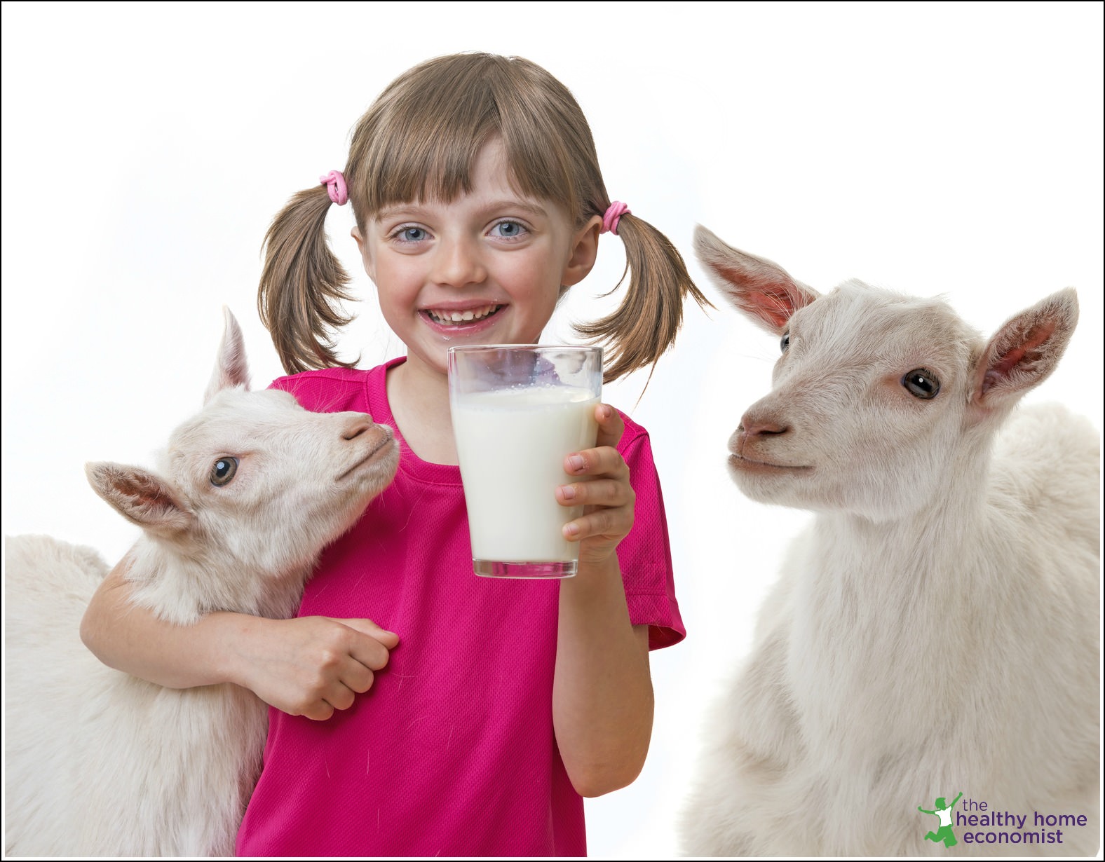 goat versus cow milk