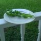 dried basil, how to dry herbs