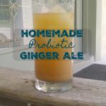 ginger ale recipe