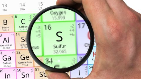 Sulfur: The Forgotten Nutrient (that we all need desperately!)