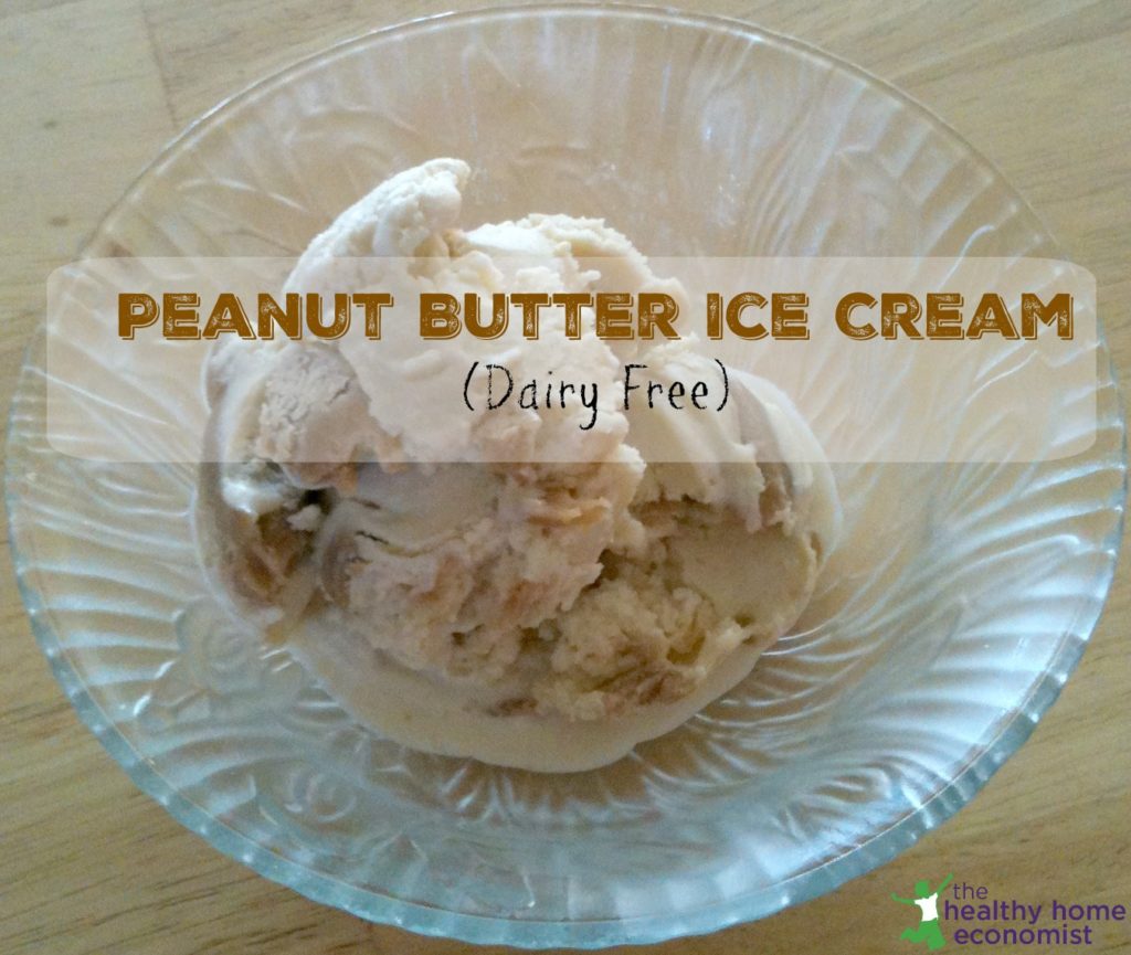 Peanut Butter Ice Cream (Dairy Free) Healthy Home Economist