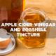 apple cider vinegar tincture recipe