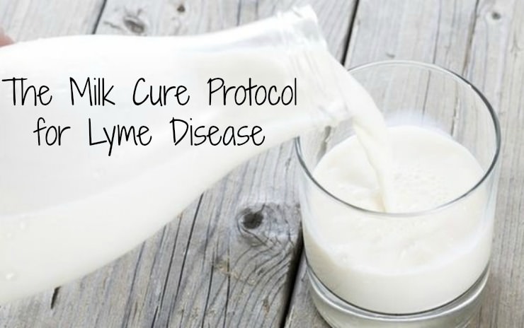 milk cure protocol for lyme disease_mini