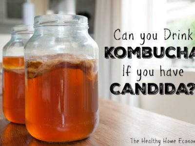 kombucha and candida