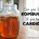 kombucha and candida