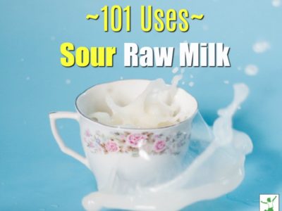 sour raw milk uses