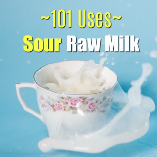Low temp pasteurized milk not a good sub for raw milk healthy home