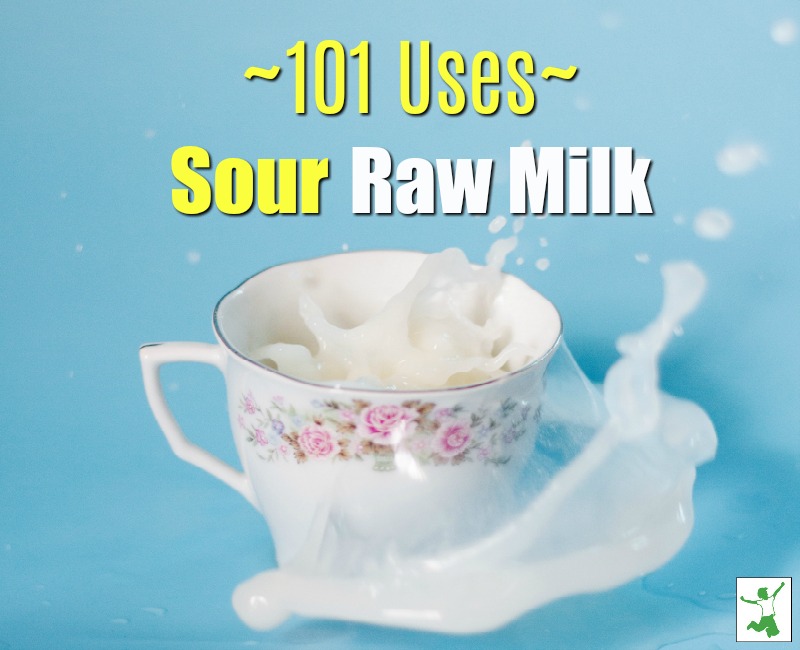 sour raw milk with many uses in a teacup