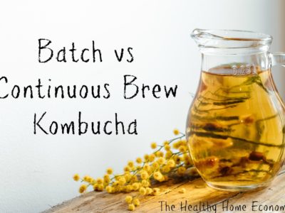 Continuous Brew Kombucha vs Batch Method 2