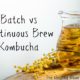 Continuous Brew Kombucha vs Batch Method 2